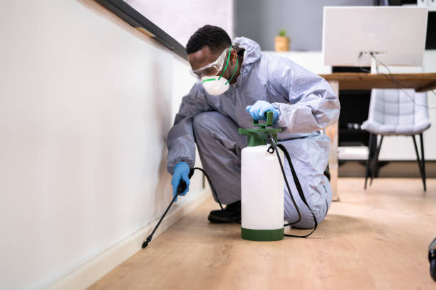 Real Estate Pest Inspections in Mather, CA